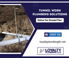 
Reliable Tunnel Work Services

If you are in need of tunnel work services in Cypress or the surrounding areas, don’t hesitate to contact us at Loyalty Plumbing LLC. We are here to keep your plumbing system functioning properly, so you can enjoy a safe and healthy home or business. Send us an email at info@loyaltyplumbingllc.com for more details.