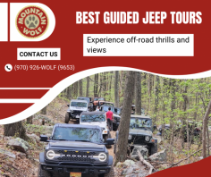 Epic Guided Jeep Adventure Tours

Our guided Jeep tours offer thrilling adventures through rugged terrains. We provide expert guides and unforgettable experiences, ensuring every journey is safe, scenic, and exciting. Contact us (970) 926-WOLF (9653).