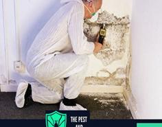 We know the Queensland community like the back of our hand and can offer bespoke services that fit your requirements. As licensed professionals, we have access to the latest information and have established robust business networks. We are your one-stop shop for all your pest control management needs, from rodent removal to bed bug treatments and spider control solutions. If you need a hand getting rid of unwanted pests on your property, call us, and we will be there quickly.
