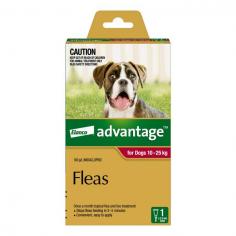 Advantage for Large Dogs is a topical solution for large size dogs that weigh between 10-25kg. This spot-on formula for dogs is highly effective in killing adult fleas and larvae on dogs and their surroundings. A single dose of Advantage Red pack kills re-infesting fleas within 1 hour and flea larvae in your dog's surroundings within 20 minutes of contact with the active ingredient.
