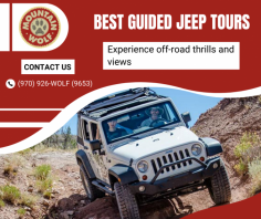 Epic Guided Jeep Adventure Tours

Our guided Jeep tours offer thrilling adventures through rugged terrains. We provide expert guides and unforgettable experiences, ensuring every journey is safe, scenic, and exciting. Contact us (970) 926-WOLF (9653).