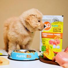 Buy Natural, grain-free goodness for your pup. Our vet-formulated recipe features Chicken, Pumpkin, Eggs, and more, with zero preservatives, chemicals, or additives. Nourish your furry friend with the best. https://shop.puppiezo.com/collections/fresh-food/products/chicken-breast-pumpkin-eggs