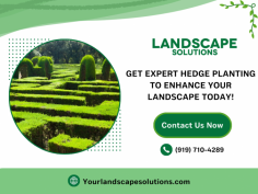 Transform Your Garden with Professional Hedge Planting

We offer a hedge planting service with expert installation of various hedges to enhance your landscape's privacy, aesthetics, and value. Our skilled team ensures optimal placement including growth conditions, delivering lush, healthy hedges that transform your outdoor space. For more details, contact Landscape Solutions at (919) 710-4289 today!