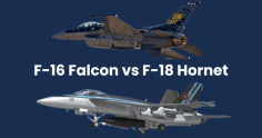 [F16 vs F18](https://skycomparison.com/f16-vs-f18/)