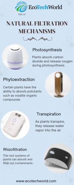 Indoor air quality is a critical aspect of our living environments, impacting our health, comfort, and overall well-being. Among the various methods to enhance indoor air quality, living air purifiers, such as plants and microorganisms, have garnered significant attention.           
Source: https://ecotechworldusa.wordpress.com/2024/07/02/how-do-living-air-purifiers-improve-indoor-air-quality/
