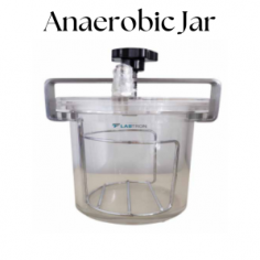 Labtron anaerobic jar is designed with strong jar-lid clamp construction, high-quality airtight performance, and a colorless and durable stainless steel clamp. It features quick snap-shut coupling, high-quality O-rings, and a transparent jar and lid.