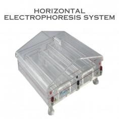 Labtron Horizontal Electrophoresis System (DUAL TANK) features three platinum electrodes (1 negative, 2 positive), a tank, swim clubs, latex tube, and power cord (296×266×122 mm). It saves samples, offers high specificity and strong resolution, stores 12 procedures, and includes optional temperature control.