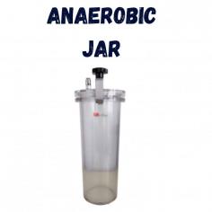 Labmate Anaerobic Jar creates an oxygen-free atmosphere for anaerobic microorganism cultivation. It has a 2.5L capacity and is made of transparent PMMA for easy monitoring. The jar holds 12 dishes and features air-tight seals to prevent contamination, ensuring reliable and efficient anaerobic studies.