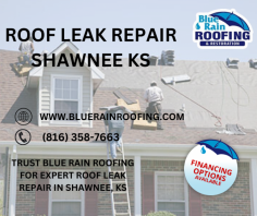 Need roof leak repair in Shawnee, KS? Blue Rain Roofing & Restoration provides fast, reliable repairs to protect your home from water damage. Contact us today for a free quote.

https://www.bluerainroofing.com/roof-leak-repair-shawnee-ks/
