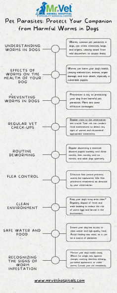 As a loving pet owner, ensuring your furry friend’s health and well-being is a top priority. One of the common challenges faced by dogs is the threat of pet parasites, particularly worms. These harmful parasites can lead to serious health issues if not addressed promptly. In this article, we will delve into the types of worms in dogs, their impact, and how to protect your companion from these unwelcome invaders.

