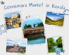 Explore Connemara Market in Kerela that has a wide array of fresh produce, unique handicrafts, and traditional spices for an authentic Kerala shopping experience.
Read More : https://wanderon.in/blogs/connemara-market-in-kerala