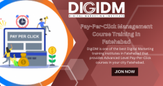 Are you looking for a Pay Per Click Course in Fatehabad, Haryana to learn PPC Campaigns? If yes then you are at the right place, In this article we will discuss about best Pay Per Click institute in Fatehabad, Whether you want instant results with paid advertisement, your one-stop solution for PPC training is DigiDM Digital Marketing Institute Fatehabad.