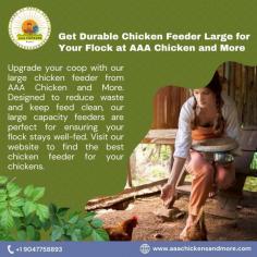 Upgrade your coop with our large chicken feeder from AAA Chicken and More. Designed to reduce waste and keep feed clean, our large capacity feeders are perfect for ensuring your flock stays well-fed. Visit our website to find the best chicken feeder for your chickens.