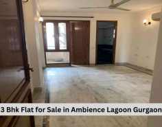 The location of Flat for Sale in Ambience Lagoon Gurgaon offers unparalleled convenience. The flat is near the nearby metro station, providing easy access to various parts of the city. Shopping malls, parks, and other recreational facilities are also within easy reach, making it a perfect choice for families looking for a balanced lifestyle. 