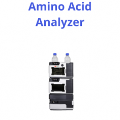 Labmate Amino Acid Analyzer 24A quantifies amino acid composition in hydrolysed protein and physiological fluids. It features a flow rate range of 0.001 to 10 ml/min for optimized separation and a UV detector ranging from 190 to 800 nm for analysing complex samples, ensuring precise and versatile amino acid analysis.