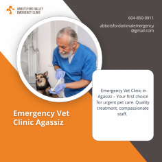 Trusted Emergency Vet Clinic in Agassiz

Visit Abbotsford Vet Emergency's exceptional emergency vet clinic in Agassiz for compassionate veterinary care during emergencies. Our experienced veterinarians and caring staff are committed to providing prompt and comprehensive care for your pets when they need it most. With advanced facilities and a dedication to excellence, we prioritize your pet's well-being and offer the highest standard of care in Agassiz.