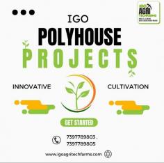 IGO AgriTechFarms is leading the way in providing innovative polyhouse solutions that cater to the diverse needs of farmers across India and we will explore the high yield polyhouse crops, and the various subsidies available in India to support polyhouse farming projects.  High Yield Polyhouse Crops Polyhouse farming is suitable for a wide range of crops that thrive in controlled conditions. Some of the high yield polyhouse crops include:  Tomatoes: Polyhouses provide the perfect environment for growing tomatoes, resulting in higher yields and better quality fruits.  Cucumbers: These fast-growing plants benefit greatly from the consistent conditions in a polyhouse.  Bell Peppers: Polyhouses allow for the cultivation of bell peppers with vibrant colors and excellent taste.  Strawberries: The delicate nature of strawberries makes them ideal for polyhouse farming, where they are protected from pests and diseases.  Leafy Greens: Lettuce, spinach, and other leafy greens thrive in polyhouses, offering multiple harvests throughout the year.  Polyhouse Farming Subsidy in India To encourage the adoption of polyhouse farming, the Indian government provides various subsidies and financial assistance programs. These subsidies help farmers offset the initial costs of setting up a polyhouse, making it more accessible and affordable.  National Horticulture Board (NHB): The NHB offers subsidies that cover up to 50% of the cost of setting up a polyhouse, making it a viable option for many farmers.  Mission for Integrated Development of Horticulture (MIDH): MIDH provides financial support and technical assistance for polyhouse farming projects, promoting sustainable horticulture practices.  State Government Schemes: Many state governments have their own subsidy programs tailored to the specific needs of local farmers. These programs further reduce the financial burden on farmers and encourage the adoption of polyhouse farming.  Why Choose IGO AgriTechFarms? At IGO AgriTechFarms, we are committed to helping farmers succeed with our innovative polyhouse projects. We also assist farmers in navigating the various subsidy programs available, ensuring they can take full advantage of the financial assistance provided by the government.  Get Started Today! Join the growing number of farmers who are transforming their agricultural practices with polyhouse farming.  Contact IGO AgriTechFarms at 7397789803 ,7397789805.  or visit our website at www.igoagritechfarms.com