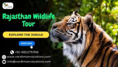 Embark on a Rajasthan Wildlife Tour to explore its diverse ecosystems. Witness majestic tigers, elusive leopards, and vibrant birdlife in renowned national parks. Experience the untamed beauty and rich biodiversity, making unforgettable memories in India's wilderness. 
Visit Now:- https://vardhmanvacations.com/rajasthan-tours/wildlife-tours.html

