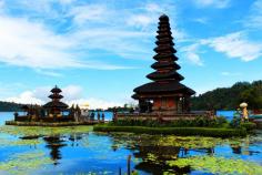 bali holiday package :
Experience the enchanting beauty of Bali with Musafir's exclusive bali holiday package. Immerse yourself in tropical paradise, from pristine beaches to lush landscapes. Discover Bali like never before. Book your dream getaway today!"

