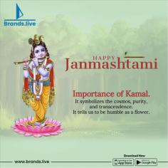 Celebrate Krishna Janmashtami with stunning Flyers created using Templates on Brands.live. Choose from a wide variety of designs and create captivating visuals in minutes. Perfect for enhancing your festivities, these eye-catching Flyers will make your celebrations unforgettable and leave a lasting impression on your audience. 
