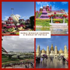 Discover the breathtaking beauty of the Dubai Miracle Garden, a floral paradise featuring millions of vibrant flowers arranged in stunning displays. Explore this enchanting world of petals, where creativity and nature combine to create a must-see attraction for all visitors to Dubai.

More info - https://wanderon.in/blogs/dubai-miracle-garden