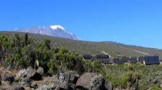 Climb Mount Kilimanjaro | 2024 Mt Kilimanjaro Hiking Package
	
	
	
	
	
	
	
	
	
	
	
	
	
	
	
	
	
	
	.with_frm_style{--form-width:100%;--form-align:left;--direction:ltr;--fieldset:0px;--fieldset-color:#000;--fieldset-padding:0 0 15px;--fieldset-bg-color:transparent;--title-size:40px;--title-color:#444;--title-margin-top:10px;--title-margin-bottom:60px;--form-desc-size:14px;--form-desc-color:#666;--form-desc-margin-top:10px;--form-desc-margin-bottom:25px;--form-desc-padding:0;--font-size:15px;--label-color:#3f4b5b;--weight:normal;--position:none;--align:left;--width:150px;--required-color:#b94a48;--required-weight:bold;--label-padding:0