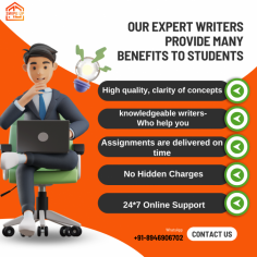 Our Team Provides The Best Online Assignments