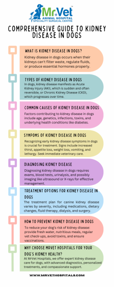 Kidney disease in dogs is a serious health condition that can significantly impact your pet’s quality of life. Understanding the signs, causes, and treatment options is crucial for ensuring your furry friend stays healthy and happy. This comprehensive guide aims to provide you with valuable information on kidney disease in dogs and how MrVet Hospitals can help you manage this condition.

