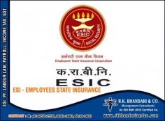 Employee State Insurance Consultants Advisors Advocate Lawyers in India Punjab Ludhiana +91-9855025790, 9814914883 https://www.rkbhandariandco.com
