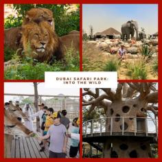 Dubai Safari Park offers an unforgettable wildlife adventure, featuring exotic animals from around the world in a lush, natural setting. Ideal for family outings and nature enthusiasts, visitors can explore diverse habitats and enjoy up-close encounters with fascinating creatures. Plan your visit today!

More info - https://wanderon.in/blogs/dubai-safari-park