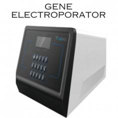 Labtron Gene Electroporator is a modular system with exponential waveform output for efficient gene transfection. It features rapid transfection of large cell numbers, intelligent network control, two-way communication, and adjustable parameters for precise and reliable electroporation.