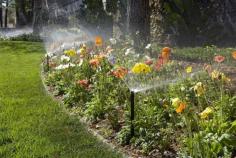 Happy Thursday from the Maxum Irrigation Team! At Maxum Irrigation & Jordan Brook Lawncare, we’re committed to keeping your lawn in top shape. Whether you need a free irrigation installation quote or a lawn care estimate, our expert team is here to help. We pride ourselves on customer satisfaction and can't wait to enhance your outdoor space. Contact us today to schedule your service!
Contact Us
Phone: (860) 525-7000
Website: https://maxumirrigation.com/
Address: 426C Boston Post Rd, Waterford, CT 06385
Facebook: https://www.facebook.com/maxumipsd/
Youtube: https://www.youtube.com/@maxumirrigationplumbing6382
Instagram: https://www.instagram.com/Maxum_Irrigation/
