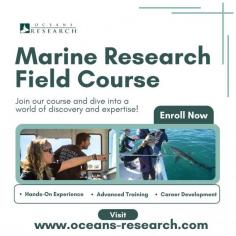 Experience the excitement of marine exploration and the importance of ocean conservation with the Oceans Research Institute. Join our Marine Research Field Course to acquire hands-on skills and insights into studying marine mega-fauna like great white sharks and dolphins, all while earning course credits. Ready to dive in? Visit our website and enroll today! 

Visit: https://www.oceans-research.com/oceans-field-research-program/
