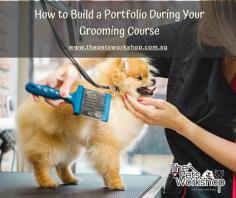 Building a portfolio during your pet grooming course Singapore is essential for showcasing your skills and demonstrating your expertise to potential employers or clients. A well-crafted portfolio highlights your ability to handle various grooming tasks, your understanding of breed-specific cuts, and your proficiency in maintaining pet hygiene. Here’s how to create a compelling portfolio while enrolled in a professional dog grooming course.

Document Your Progress: From day one of your pet grooming course, start documenting your work. Take high-quality before-and-after photos of every grooming session. These photos will visually demonstrate your progress and improvement over time. Ensure the lighting is good and the pets are well-positioned to highlight your grooming skills. Include a variety of breeds and grooming styles to show your versatility.

Keep Detailed Records: Alongside photos, maintain detailed records of each grooming session. Note the breed of the dog, the specific grooming techniques used, and any challenges you faced. This information adds context to your photos and shows your problem-solving skills and ability to handle different grooming situations. It also demonstrates your knowledge gained from the professional dog grooming course.

Include Testimonials: Gather testimonials from instructors and clients (if your course involves hands-on work with real pets). Positive feedback from credible sources can significantly enhance your portfolio’s credibility. Ask for written testimonials or permission to include snippets of their feedback. Testimonials highlight your professional demeanor, reliability, and customer satisfaction.

Showcase a Range of Skills: Your portfolio should display a broad range of grooming skills. Include examples of basic grooming tasks such as bathing, brushing, and nail trimming, as well as more advanced techniques like hand stripping, scissoring, and creative grooming. If your pet grooming course in Singapore covers health checks or handling techniques, document these as well. A diverse portfolio demonstrates your comprehensive training and readiness for various grooming challenges.

Highlight Special Projects: If your professional dog grooming course offers special projects or opportunities for creative grooming, make sure to include these in your portfolio. Special projects often involve unique grooming styles or intricate designs, which can set your portfolio apart. Highlighting these projects shows your ability to think creatively and execute complex grooming tasks.

Organize Professionally: Presentation matters. Organize your portfolio in a professional and easy-to-navigate format. Whether you choose a digital portfolio or a physical one, ensure it is well-structured. Start with an introduction that includes a brief bio and your grooming philosophy. Follow with sections for different grooming skills, each accompanied by photos, records, and testimonials.

Update Regularly: Your portfolio should be a living document. Continue updating it even after you complete your pet grooming course in Singapore. As you gain more experience and refine your skills, add new photos and testimonials. Keeping your portfolio current ensures it accurately reflects your abilities and achievements.

Building a portfolio during your pet grooming course is crucial for showcasing your skills and readiness for the professional grooming world. By documenting your progress, keeping detailed records, gathering testimonials, showcasing a range of skills, highlighting special projects, organizing professionally, and updating regularly, you’ll create a compelling portfolio that stands out. This not only reflects your hard work and dedication during your professional dog grooming course but also sets the stage for a successful career in pet grooming.

Website : https://www.thepetsworkshop.com.sg/