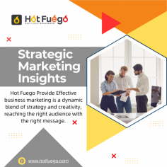 Hot Fuego provides comprehensive global market research services and access to expert analysts. Stay ahead of the curve with our cutting-edge insights and data-driven solutions tailored to your business needs. 
