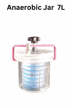 Labmate Anaerobic Jar creates an oxygen-free atmosphere for cultivating anaerobic microorganisms. With a 2.5L capacity and space for 6 dishes, it features air-tight seals and a high-quality O-ring to prevent contamination. Made of PMMA, it takes 2-4 hours to attain anaerobic conditions.