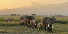 Kenya Epic Safaris | Budget & Luxury Packages | Car Hire Services
	
	
	
	
	
	
	
	
	
	
	
	
	
	
	
	
	.with_frm_style{--form-width:100%;--form-align:left;--direction:ltr;--fieldset:0px;--fieldset-color:#000;--fieldset-padding:0 0 15px;--fieldset-bg-color:transparent;--title-size:40px;--title-color:#444;--title-margin-top:10px;--title-margin-bottom:60px;--form-desc-size:14px;--form-desc-color:#666;--form-desc-margin-top:10px;--form-desc-margin-bottom:25px;--form-desc-padding:0;--font-size:15px;--label-color:#3f4b5b;--weight:normal;--position:none;--align:left;--width:150px;--required-color:#b94a48;--required-weight:bold;--label-padding:0