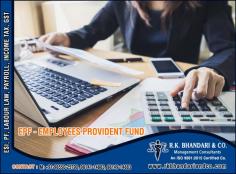 PF Consultants Advisors Advocate Lawyers in India Punjab Ludhiana +91-9855025790, 9814914883 https://www.rkbhandariandco.com
