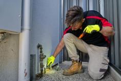 In Dunedin, bid farewell to pesky vermin with Thelocalguyspestcontrol.co.nz. Our team of professionals employs safe and effective methods to ensure that your property is pest-free. Today, you can rely on us

https://thelocalguyspestcontrol.co.nz/pest-control-dunedin/
