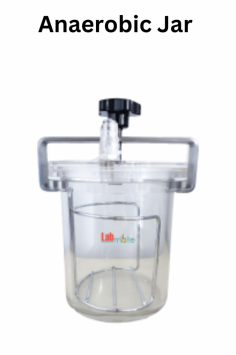  Labmate Anaerobic Jar creates an oxygen-free atmosphere for cultivating anaerobic microorganisms. With a 1.5L capacity and space for 6 dishes, it features air-tight seals and a high-quality O-ring to prevent contamination. Made of PMMA, it takes 2-4 hours to attain anaerobic conditions.