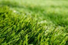 Looking to give a unique appeal to your lawn? Buy Artificial Grass for Landscaping!

Consider installing artificial grass if you want a beautiful, lush-green garden but don't have the time or patience to maintain one. If you want to buy cost-effective and durable Artificial Grass for Landscaping, check out Artificial Grass GB, they have the most high-quality and affordable products that’ll surely fit your requirements.