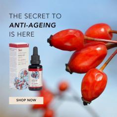 Our certified organic Rosehip Oil oil is rich in essential fatty acids and carotenoids including lycopene, a powerful anti-ageing antioxidant to assist in skin renewal and repair. 

See more: https://byronbayloveoils.com.au/pages/love-lavender-products
