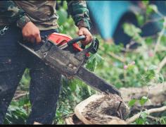 Tree Cutting Sydney: Professional Tree Pruning and Removal Solutions

For expert tree care, look no further than Sydney Side Tree Services. Our skilled team specializes in Tree Cutting Sydney, providing professional pruning and removal solutions tailored to your needs. We ensure the health and safety of your property by using the latest techniques and equipment. Trust us to keep your trees in top shape, enhancing the beauty and safety of your surroundings.

Visit here: https://goo.gl/maps/sMYoae6BJHREfWfQA