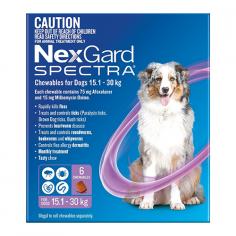 "Nexgard Spectra for dogs is a beef-flavored chewable for fleas, ticks and worm treatment. It is an effective treatment of Paralysis ticks, Bush ticks, and Brown Dog ticks. This monthly treatment is also effective in heartworm prevention in dogs, so you do not need to administer heartworm treatment for dogs separately. Shop now!

For More information visit: www.vetsupply.com.au
Place order directly on call: 1300838787"