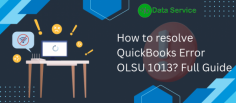 QuickBooks Error OLSU 1013 can disrupt your online banking operations. Learn about its causes, symptoms, and step-by-step solutions to restore smooth financial management in QuickBooks.