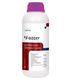 U-DIZOXY
DESCRIPTION
It is a new generation combination fungicide containing Azoxystrobin 18.2% W/W & Difenoconazole 11.4% W/W SC. It’s a dual systemic broad-spectrum fungicide with protective and curative action. It offers not only disease control but also improves crop health, quality and yield of a crop.
MODE OF ACTION
It’s a dual systemic fungicide which inhibits spore germination at the early stage of fungal development. Thus, it protects the crop against invasion by fungal pathogens. It’s taken up by the plants and acts on the fungal pathogen during penetration and haustoria formation. Thus, it stops the development of fungi by interfering with the biosynthesis of sterols in the cell membrane.
FEATURES & BENEFITS
•Synergy of two advanced chemistry and have multisite action.
•Dual mode of action, hence effective and provides longer duration control on diseases.
•It’s an excellent tool for resistance management.
•Translaminar and acropetal movement help in quicker and even dispersion in plant system.
•More photosynthesis and healthy crop.

https://ujjawala.com/pesticide/u-dizoxy/