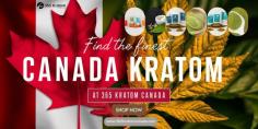 Discover the finest Canada kratom at 365 Kratom Canada, where quality and excellence come together. Our premium selection of kratom is carefully sourced to ensure you receive only the best, offering a range of strains to suit all your needs. With our dedication to top-notch products and customer satisfaction, you can shop confidently, knowing you’re getting exceptional kratom. Explore our collection today and experience the superior quality of Canada kratom at 365 Kratom Canada! https://365kratomcanada.com/