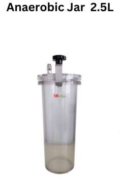   Labmate Anaerobic Jar creates an oxygen-free atmosphere for cultivating anaerobic microorganisms. With a 2.5L capacity and space for 6 dishes, it features air-tight seals and a high-quality O-ring to prevent contamination. Made of PMMA, it takes 2-4 hours to attain anaerobic conditions.