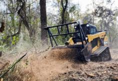 Transform your property with our expert brush clearing services in Seaton, Texas. We specialize in removing unwanted vegetation, ensuring your land is clean, safe, and ready for your next project. Our team is dedicated to providing efficient and thorough service to meet your needs. Contact us today to learn more about our brush clearing solutions.