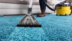 Are you looking for the Best Carpet Steam Cleaning in Mount Martha? Then contact them at Allfloor carpet cleaning. From the initial conception, during research and through to start up, my goal has been to provide the best carpet and upholstery cleaning experience I possibly can. Visit -https://maps.app.goo.gl/uwVQGkhBHvhXejtJ9
